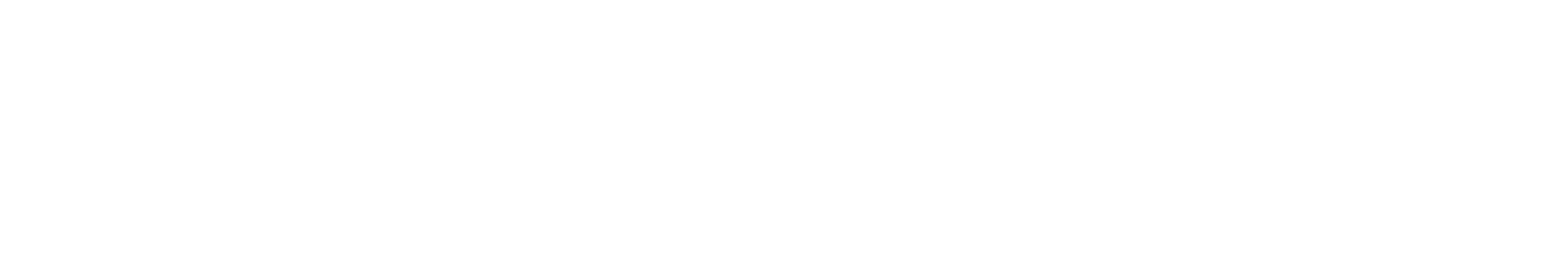 ANSER Consulting